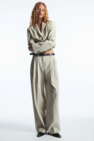 Light Beige Cos Wide-leg Tailored Wool Pants | ITUJW7238