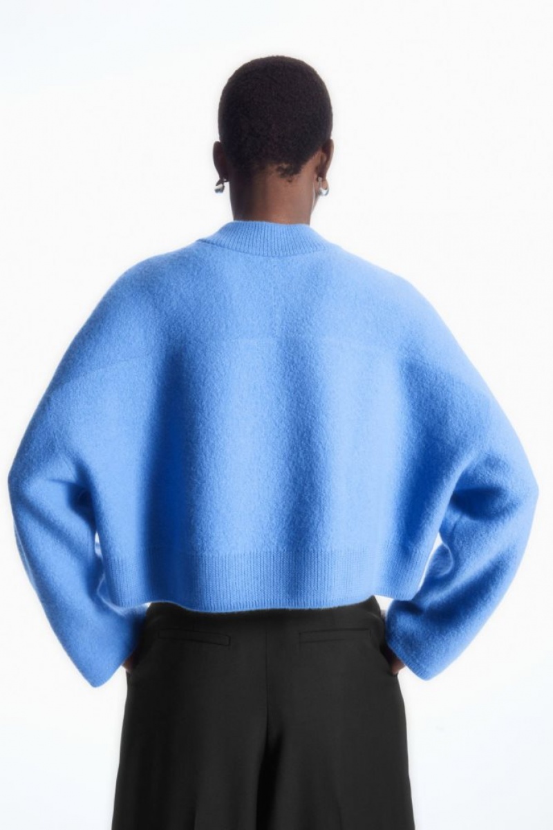 Blue Cos Cropped V-neck Wool Sweater | CLBAM3865