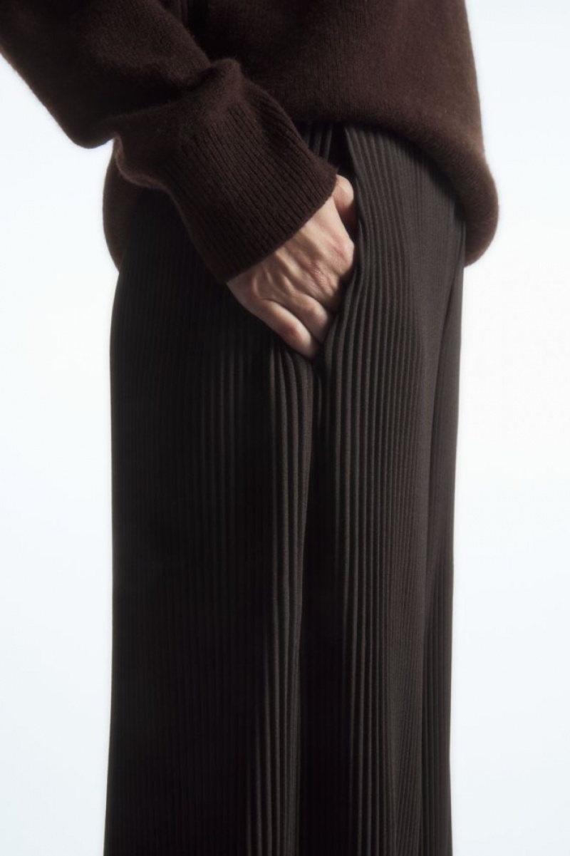 Dark Brown Cos Pleated Wide-leg Pants | NWREC5810