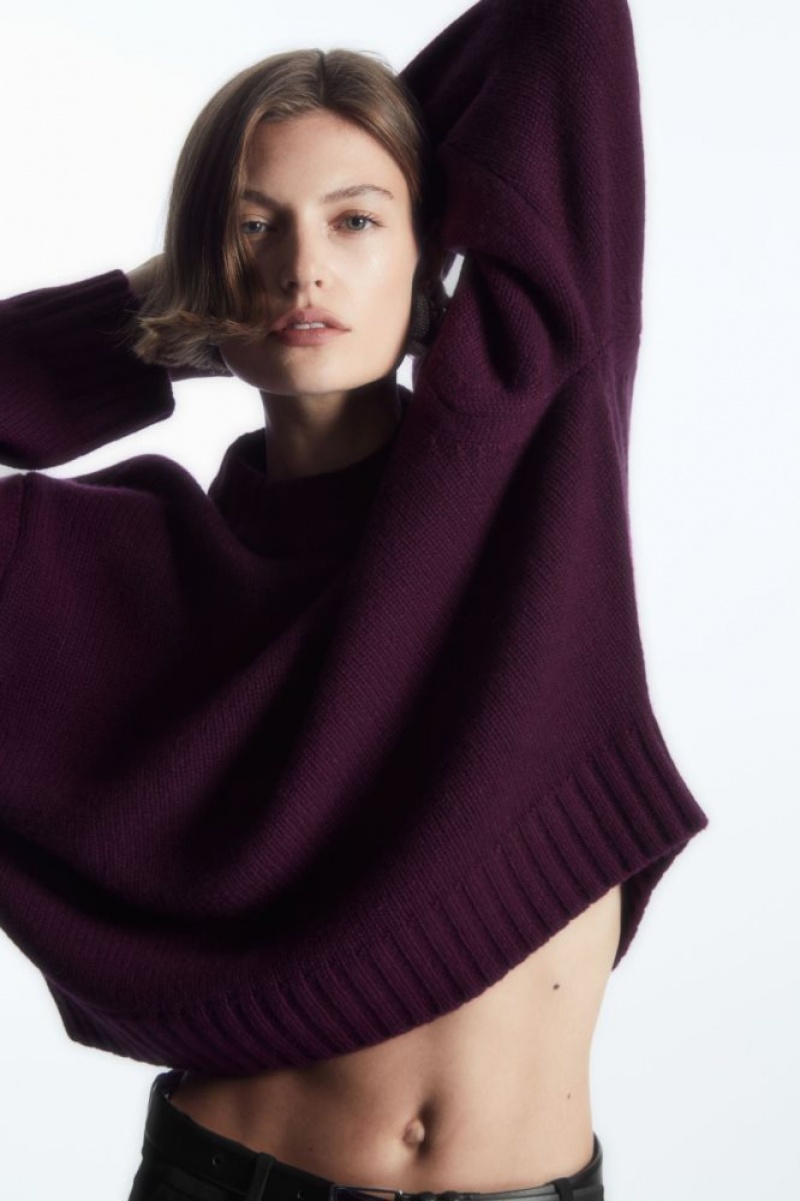 Dark Purple Cos Chunky Pure Cashmere Crew-neck Sweater | IVFYT7409