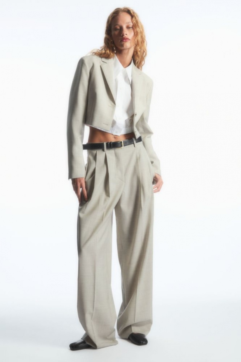 Light Beige Cos Wide-leg Tailored Wool Pants | ITUJW7238